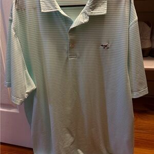 Reverse Mint Striped Polo Shirt